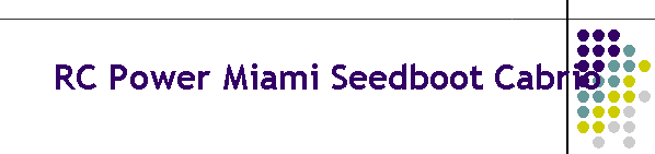 RC Power Miami Seedboot Cabrio